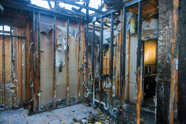 Professional Fire Damage Assessment technician working in Arlington, OH